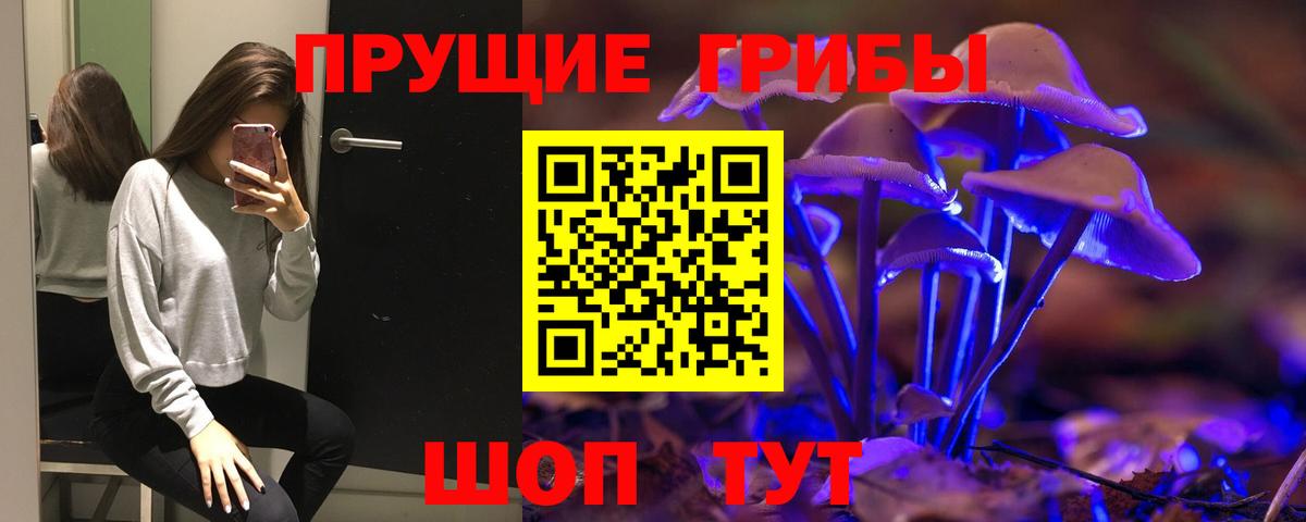 Псилоцибиновые грибы GOLDEN TEACHER Еманжелинск